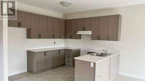 121 Palace Street, Thorold, ON - Indoor Photo Showing Kitchen With Double Sink