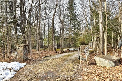 1034 Canning Heights Road, Minden Hills, ON - Outdoor With View