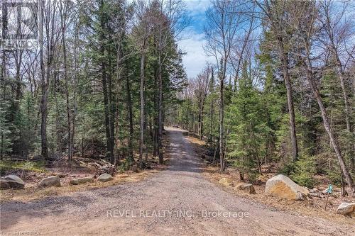 1814 Riding Ranch Road, South River, ON - Outdoor With View
