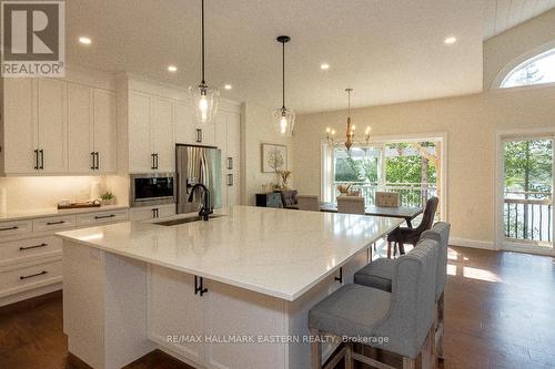 308 Indian Point Road, Kawartha Lakes, ON - Indoor Photo Showing Kitchen With Upgraded Kitchen