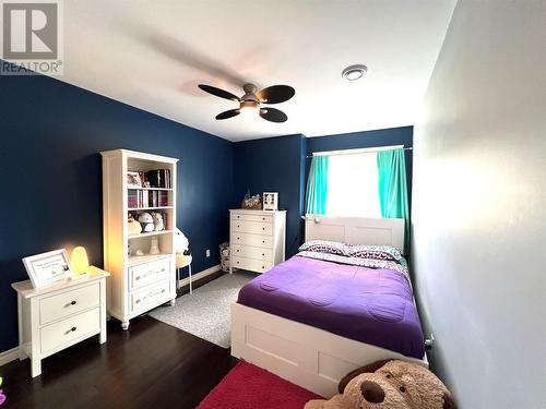 33 Mchugh Street, Grand Falls-Windsor, NL - Indoor Photo Showing Bedroom