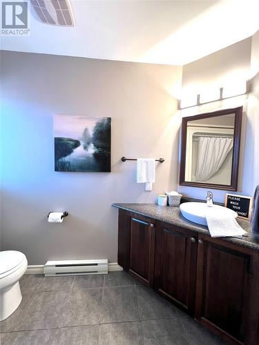 33 Mchugh Street, Grand Falls-Windsor, NL - Indoor Photo Showing Bathroom