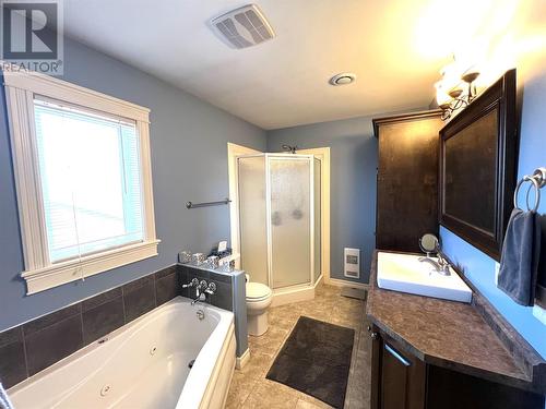 33 Mchugh Street, Grand Falls-Windsor, NL - Indoor Photo Showing Bathroom