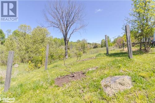 1429 Tamarack Lake Road, Highlands East, ON - Outdoor With View