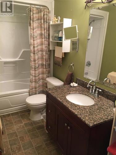 33 Harbourview Drive, St. Chad'S, NL - Indoor Photo Showing Bathroom