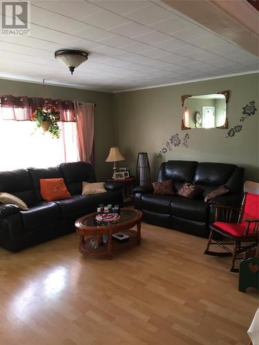 33 Harbourview Drive, St. Chad'S, NL - Indoor Photo Showing Living Room