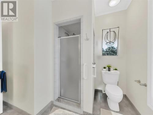 11341 Amalfi Drive, Windsor, ON - Indoor Photo Showing Bathroom