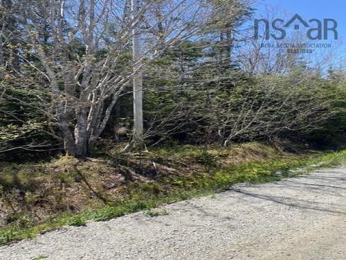 Lot 5 Willett Road, Middle East Pubnico, NS 