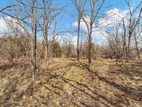 1592 Centre Rd, Hamilton, ON - Outdoor With View