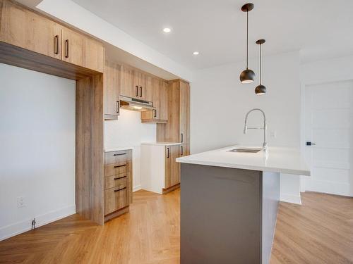 Vue d'ensemble - 144 Rue D'Émeraude, Candiac, QC - Indoor Photo Showing Kitchen