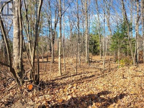 Lot #37 Byes Side Rd, Goulais River, ON 