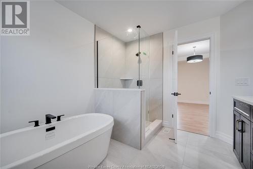 2469 Partington Avenue, Windsor, ON - Indoor Photo Showing Bathroom
