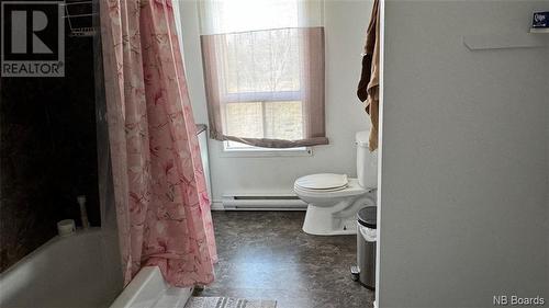 765 Principal Street, Clair, NB - Indoor Photo Showing Bathroom