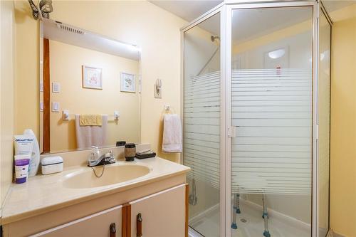 32 Cloke Court, Hamilton, ON - Indoor Photo Showing Bathroom