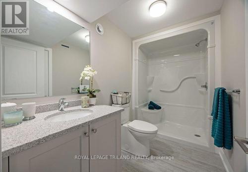 25 Silverleaf Path, St. Thomas, ON - Indoor Photo Showing Bathroom