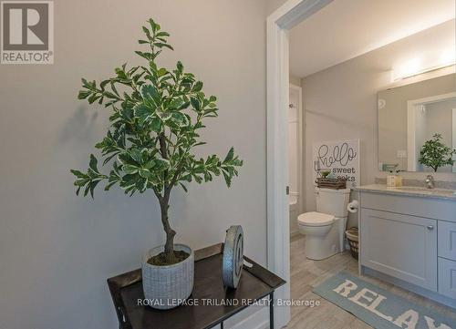 25 Silverleaf Path, St. Thomas, ON - Indoor Photo Showing Bathroom
