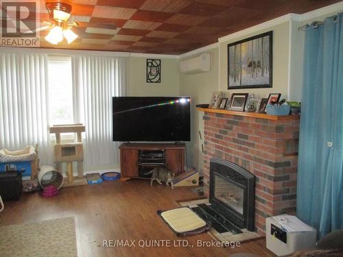142 Crookston Road S, Centre Hastings, ON - Indoor Photo Showing Other Room With Fireplace