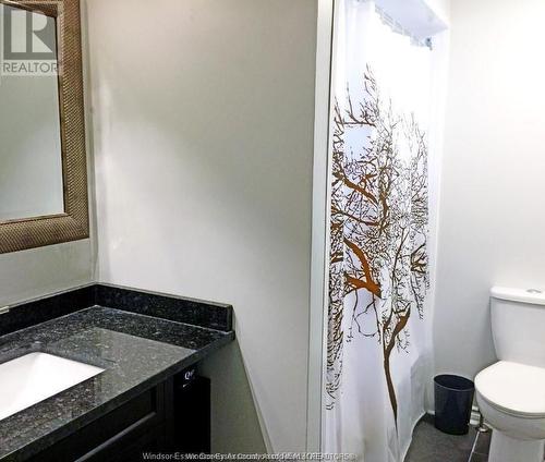 8060 Molnar Crescent, Windsor, ON - Indoor Photo Showing Bathroom