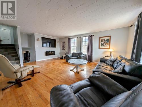 23 Snooks Lane, York Harbour, NL - Indoor Photo Showing Living Room With Fireplace