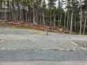 7 Anchor Place, Portugal Cove- St. Philips, NL  - Outdoor With View 