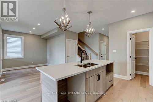 6489 Royal Magnolia Avenue, London, ON - Indoor Photo Showing Kitchen With Double Sink
