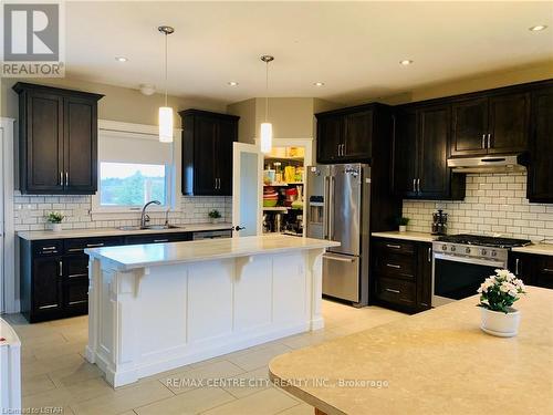 53672 Heritage Line, Bayham, ON - Indoor Photo Showing Kitchen With Stainless Steel Kitchen With Double Sink With Upgraded Kitchen