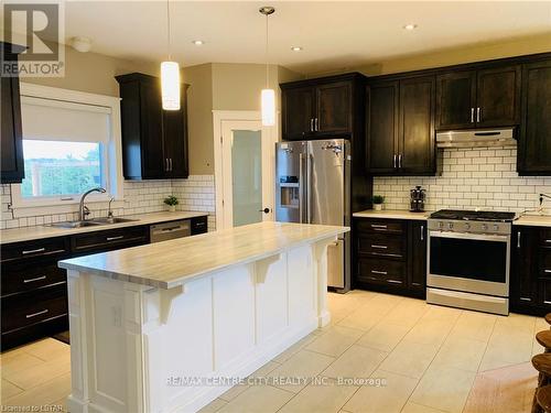 53672 Heritage Line, Bayham, ON - Indoor Photo Showing Kitchen With Stainless Steel Kitchen With Double Sink With Upgraded Kitchen
