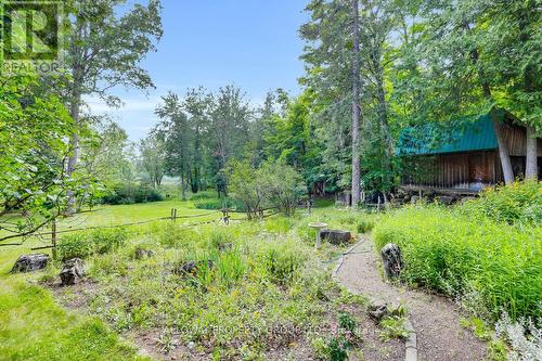 1214 Carson Trail, North Frontenac, ON - Outdoor