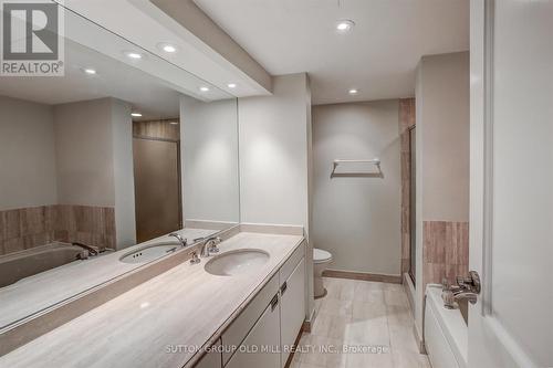 307 - 251 Queens Quay W, Toronto, ON - Indoor Photo Showing Bathroom