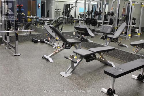 1009 - 5 Old Sheppard Avenue, Toronto, ON - Indoor Photo Showing Gym Room
