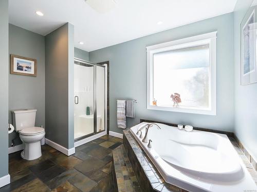 243 North Shore Rd, Lake Cowichan, BC - Indoor Photo Showing Bathroom