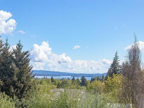 9609 Askew Creek Dr, Chemainus, BC - Outdoor With View