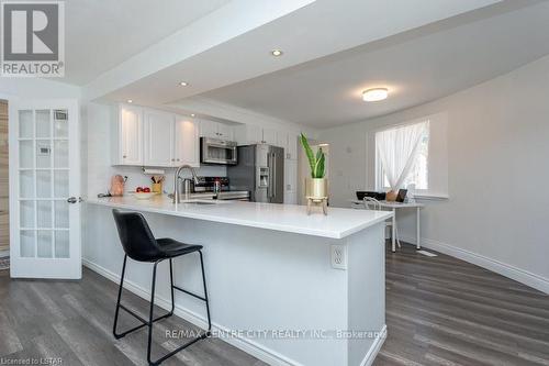 293 Tunis Street, Ingersoll, ON - Indoor Photo Showing Kitchen With Upgraded Kitchen