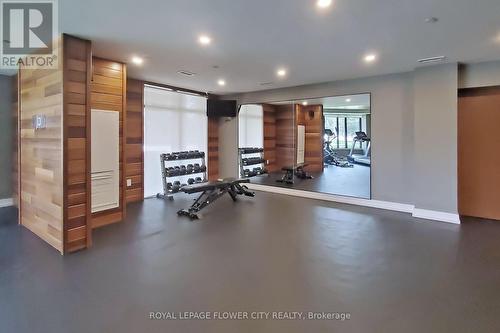 106 - 320 Plains Road, Burlington, ON - Indoor Photo Showing Gym Room