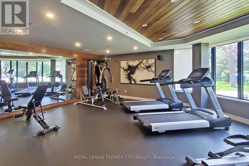 106 - 320 Plains Road, Burlington, ON - Indoor Photo Showing Gym Room