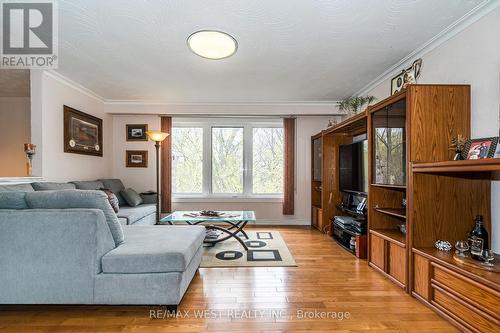 579 Rustic Road, Toronto, ON - Indoor Photo Showing Living Room