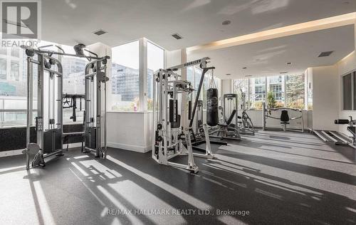 741 - 250 Wellington Street W, Toronto, ON - Indoor Photo Showing Gym Room