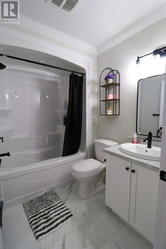 10 Murdoch Drive, Deer Lake, NL - Indoor Photo Showing Bathroom