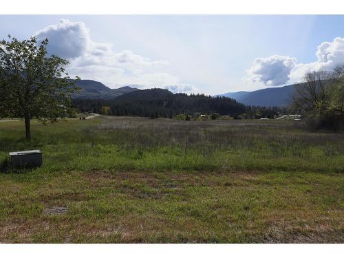 8390 Outlook Road, Grand Forks, BC - Outdoor With View