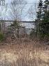 00 Route 392 Other, Springdale, NL  - Outdoor With View 