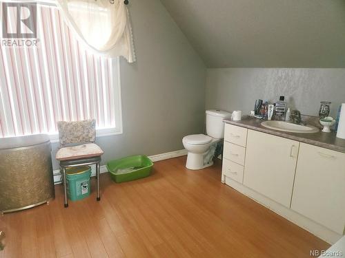 198 Principale Road, Sainte-Anne-De-Madawaska, NB - Indoor Photo Showing Bathroom