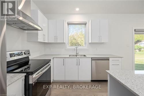 203 Eagle Street Street, North Middlesex (Parkhill), ON - Indoor Photo Showing Kitchen With Double Sink