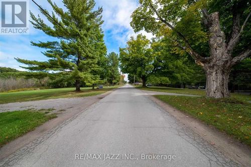 Lot 17 Grandy Road, Kawartha Lakes, ON 