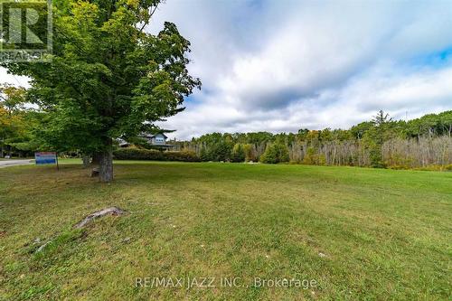 Lot 17 Grandy Road, Kawartha Lakes (Coboconk), ON 