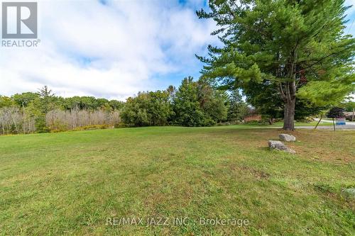 Lot 17 Grandy Road, Kawartha Lakes (Coboconk), ON 