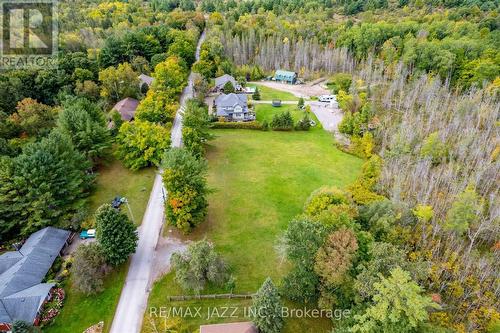 Lot 17 Grandy Road, Kawartha Lakes (Coboconk), ON 