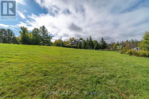 Lot 17 Grandy Road, Kawartha Lakes (Coboconk), ON 