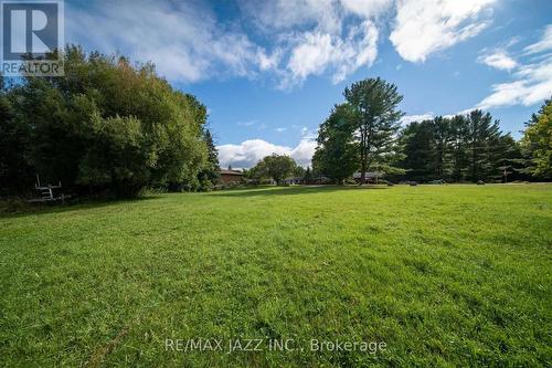 Lot 17 Grandy Road, Kawartha Lakes, ON 