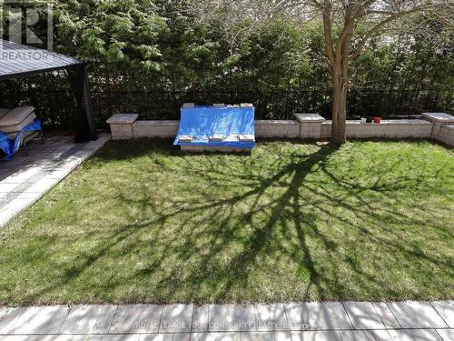 297 Jelley Avenue, Newmarket, ON - Outdoor With Backyard