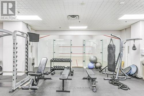 318 - 300 Manitoba Street, Toronto, ON - Indoor Photo Showing Gym Room